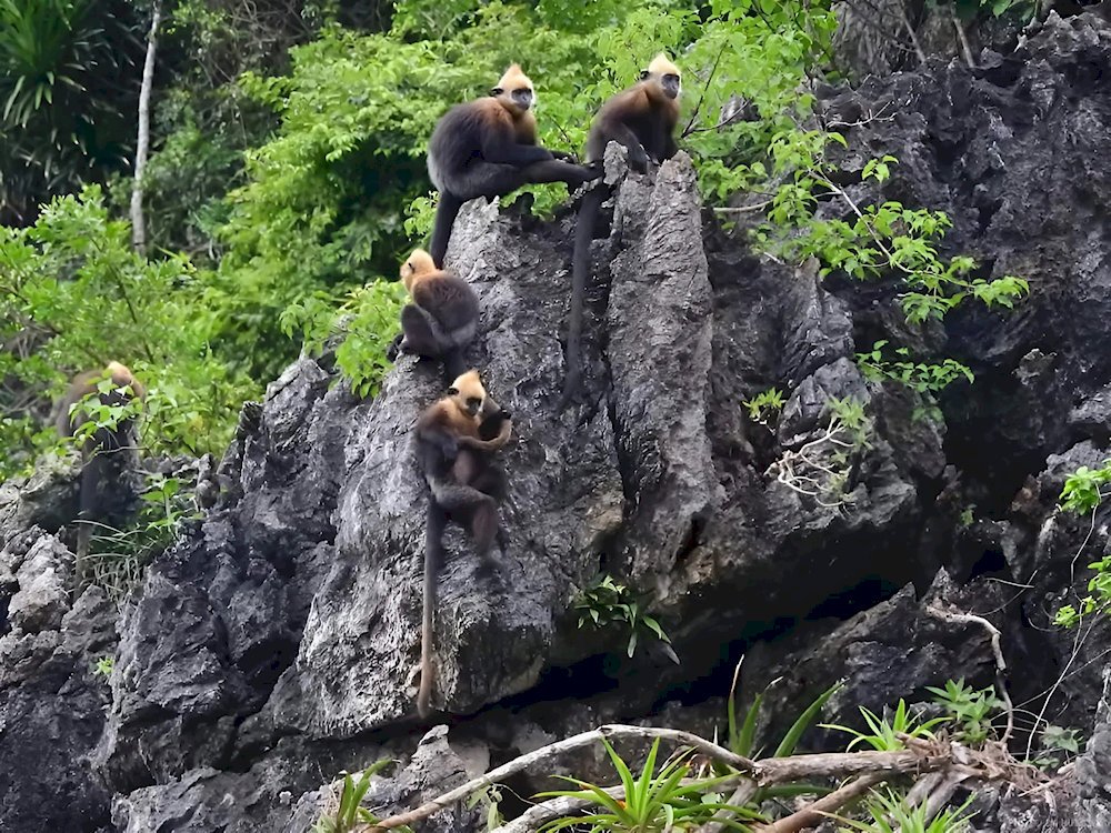 You will have the opportunity to observe a wide variety of flora and fauna